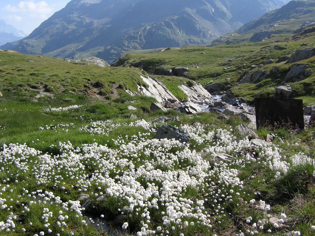 Hotel Garni Thurwieser - B&B Santa Caterina Valfurva Luaran gambar