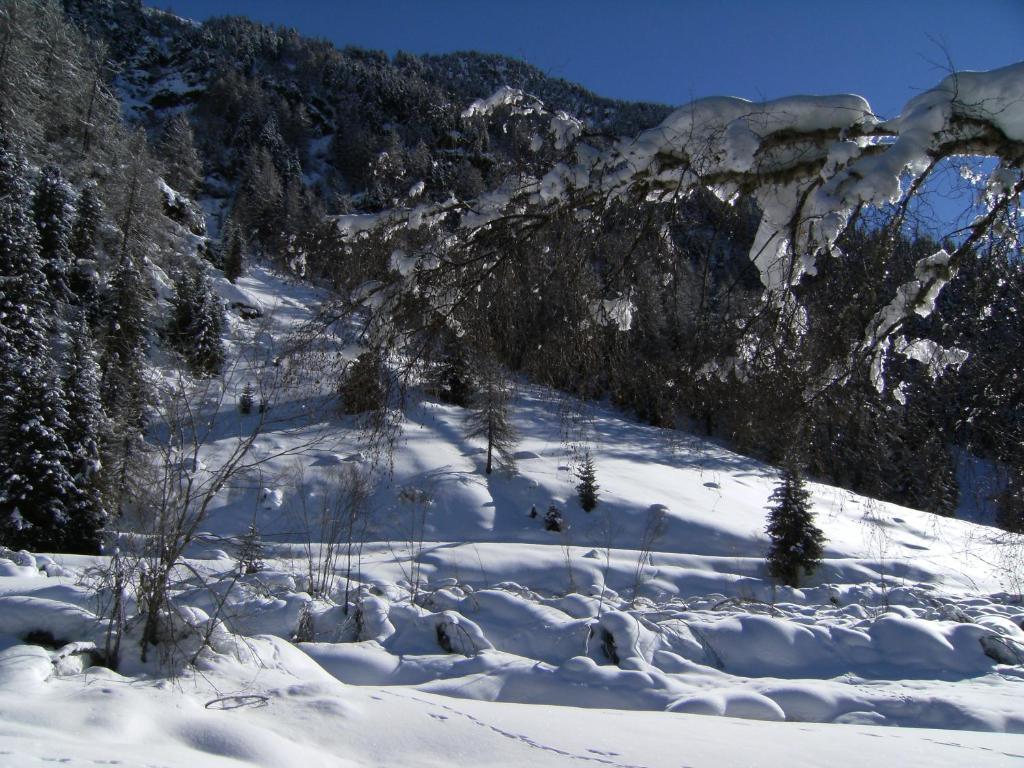 Albergo Thurwieser Santa Caterina Valfurva Luaran gambar