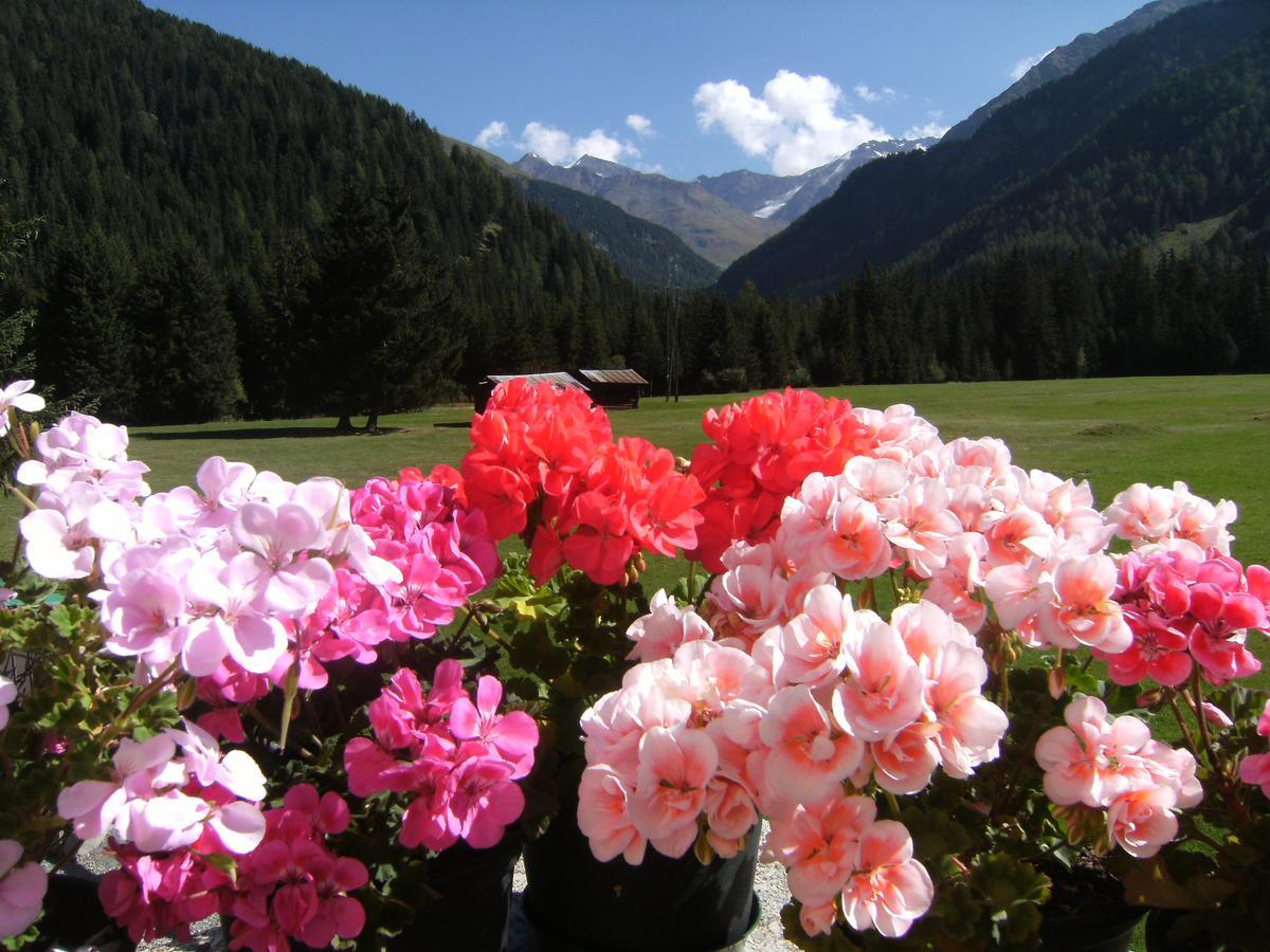 Albergo Thurwieser Santa Caterina Valfurva Luaran gambar